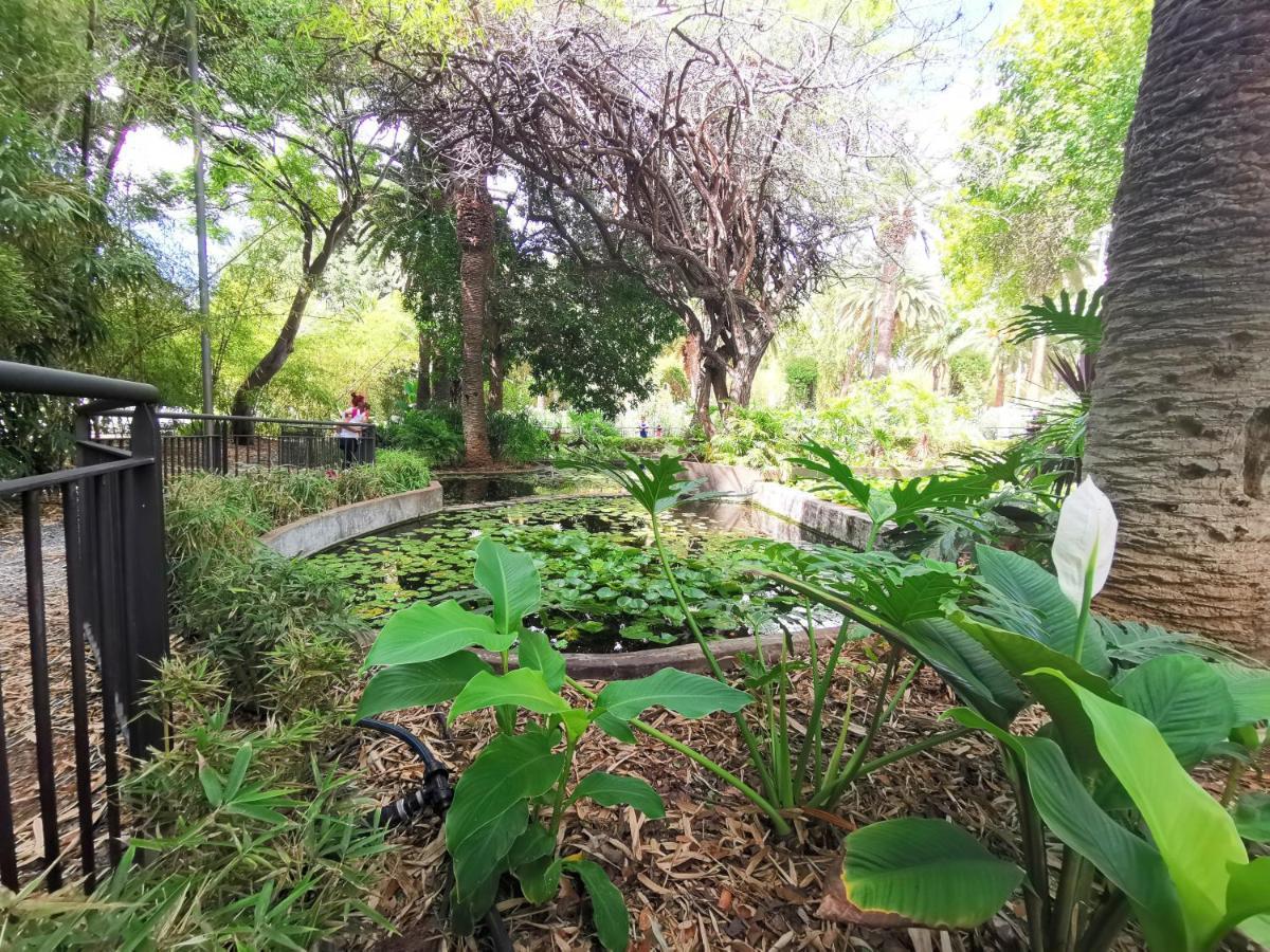 Home2Book Charming Center Apartment Santa Cruz מראה חיצוני תמונה